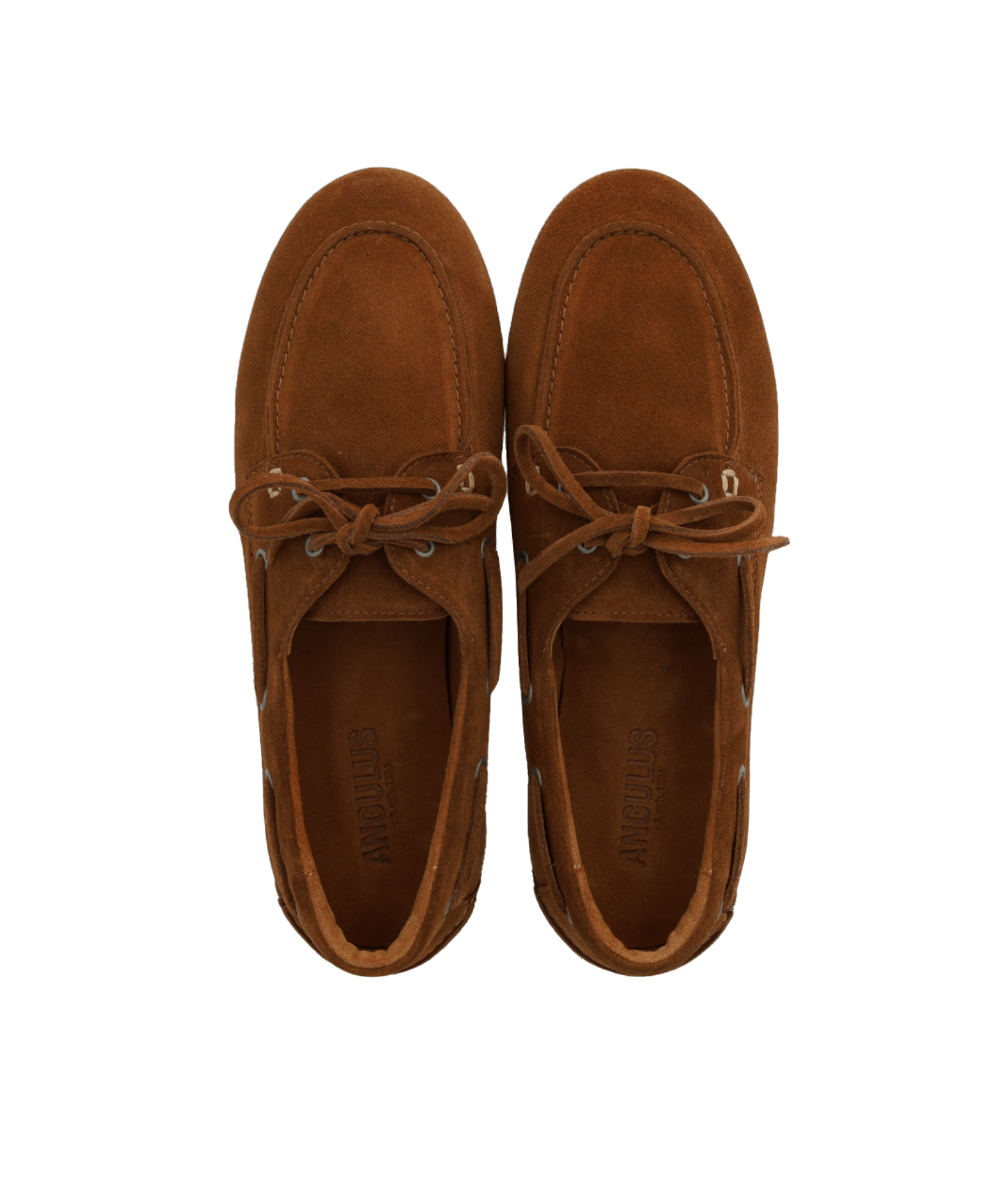 Angulus - Dame sejlersko