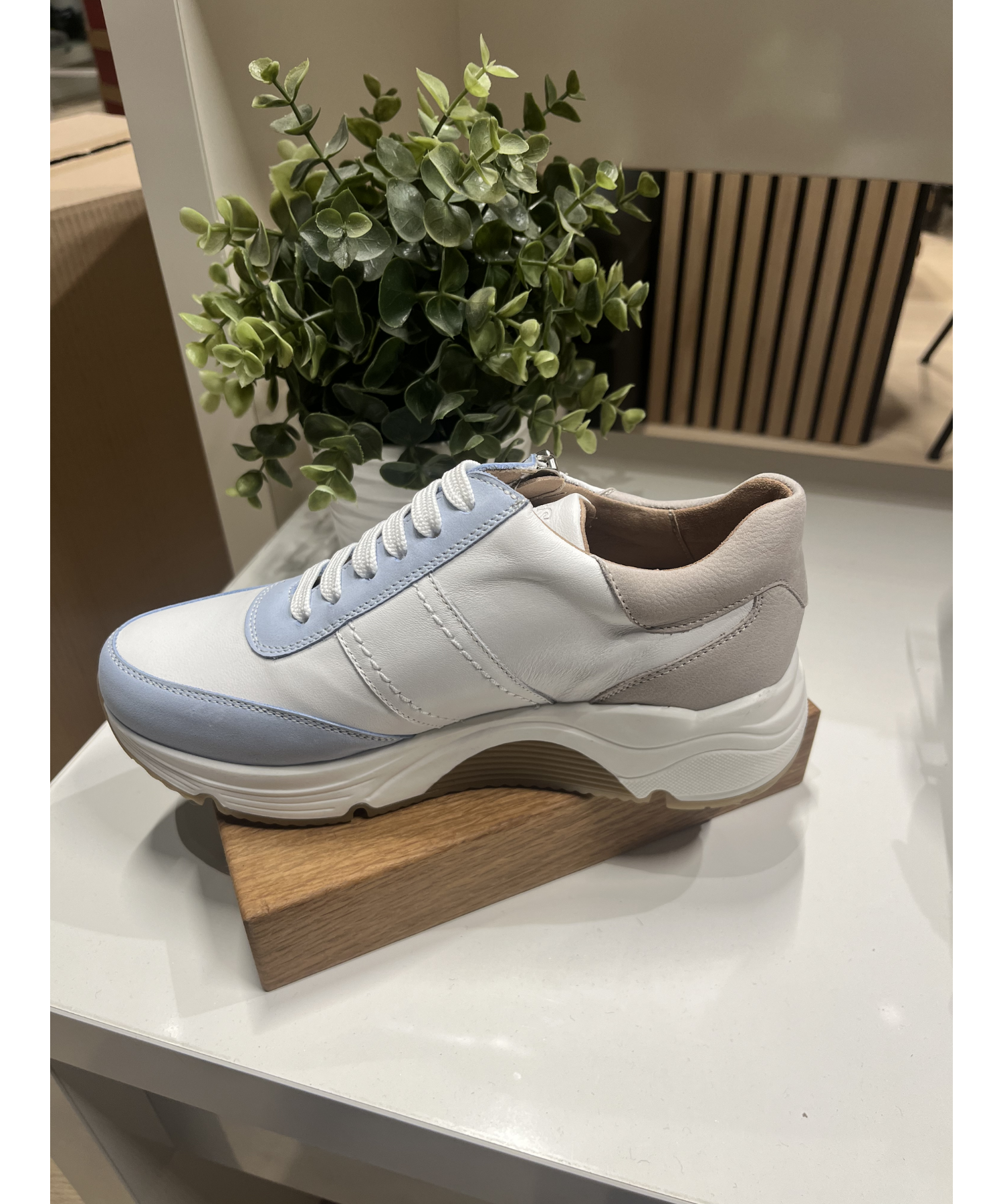 Pie Santo - Lys sneakers Sky