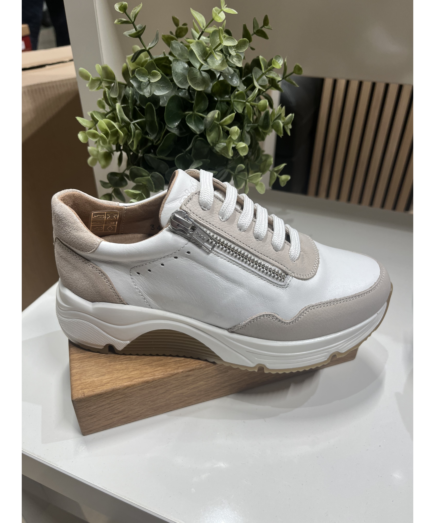 Pie Santo - Lys Sneakers